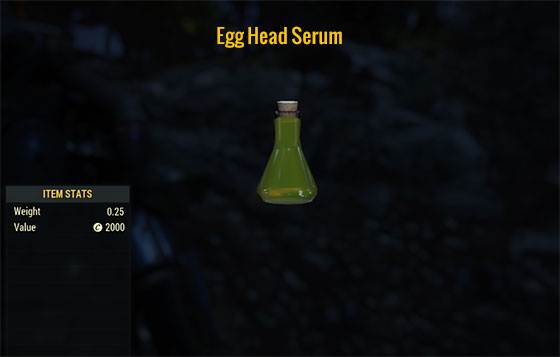 Egg Head Serum | PC