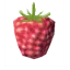 Raspberries | PC