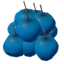 Blueberries | PC