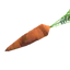 Carrot | PC