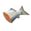Raw fish | PC