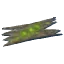 Ancient bark | PC
