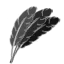 Feathers | PC