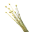 Flax | PC