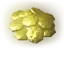 Coins | PC