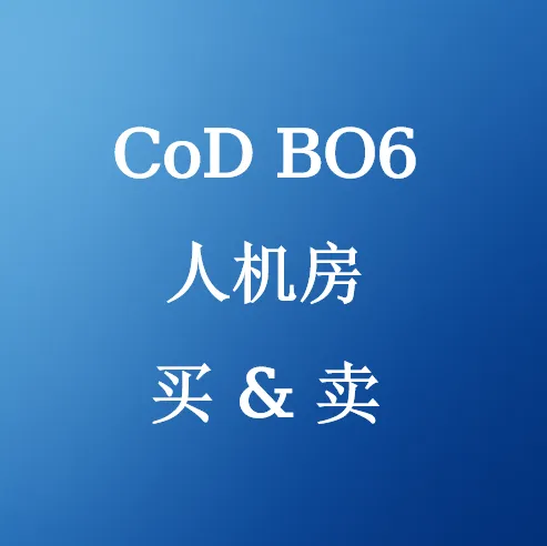 在SHANNENG购买 CoD BO6 排位人机大厅