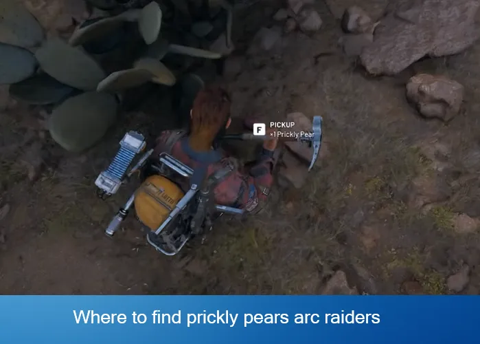 Where to find prickly pears arc raiders