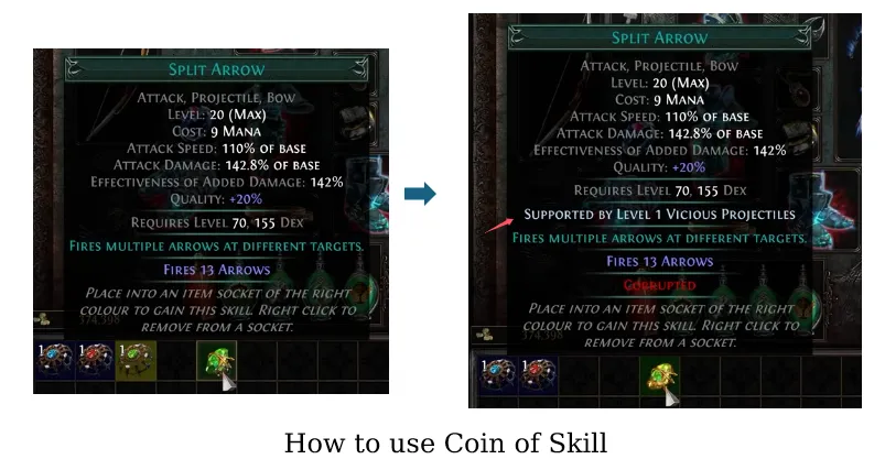 How to use Coin of Skill