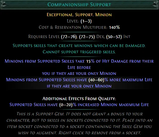 PoE Companionship Support