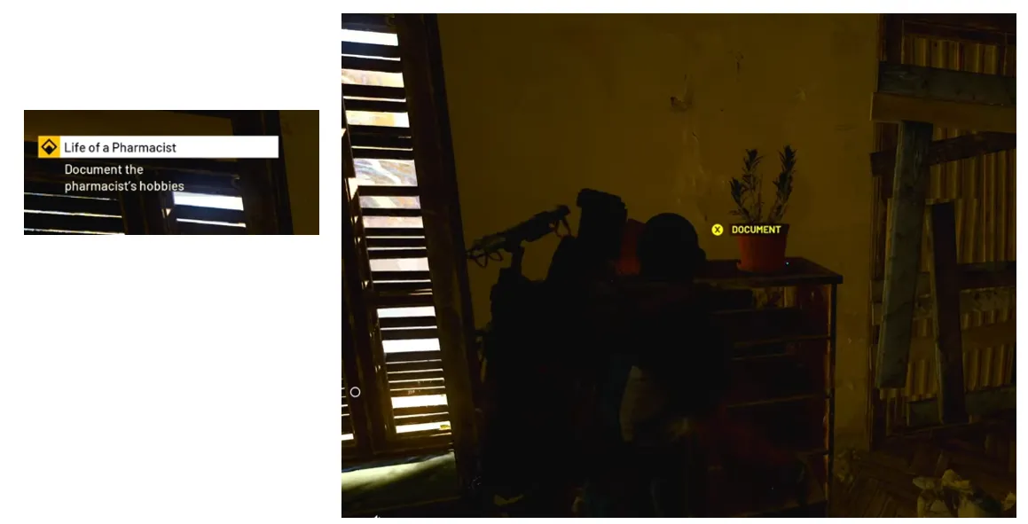  Hobbies (Potted Plants)