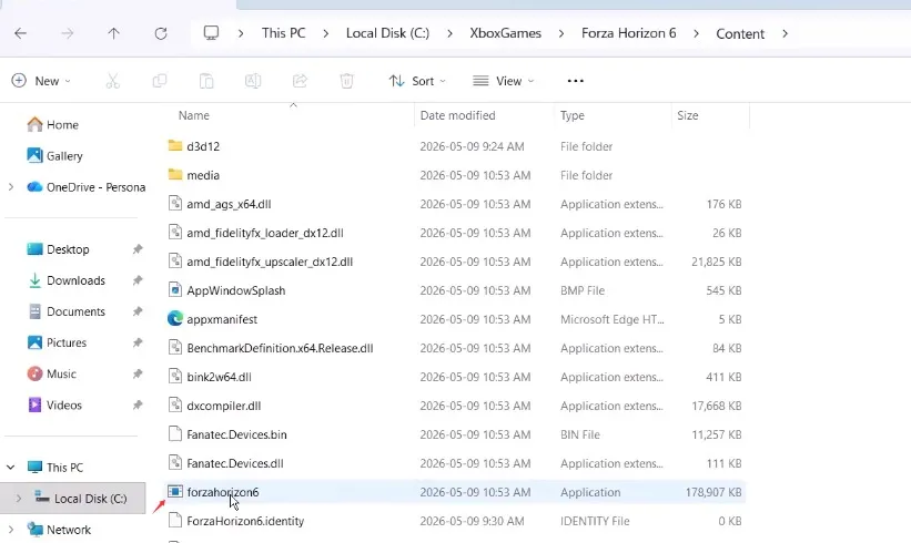 Launch from Installation Folder