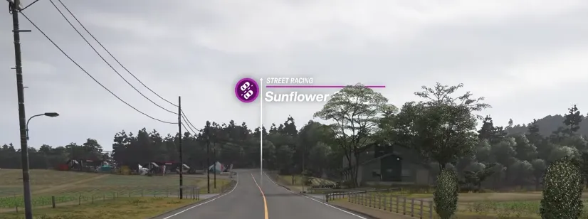 Sunflower Charge street