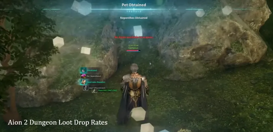 Aion 2 Dungeon Loot