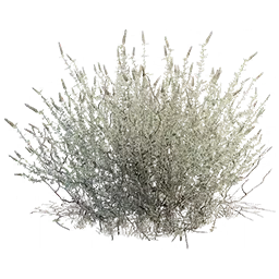 Plant Fiber | Steam > South America