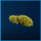 Moss | All Platform