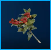 Candleberries | All Platform