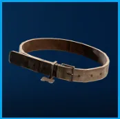 Dog Collar | All Platform