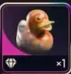 Partner Duck | All Platform