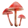 Liberty Cap x100 | PC