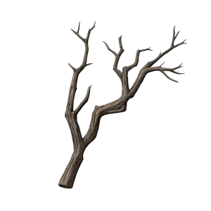 Corrupted Roots | S15 Hell's Legacy SC