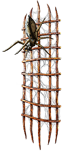 Lycosidae Rawhide Tower Shield | [PC] Allflame Standard