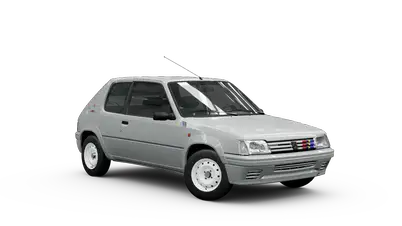 205 Rallye | Steam