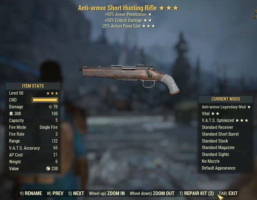 Anti-armor Short Hunting Rifle (2024) | PS