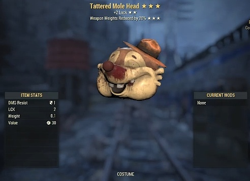 Tatter Mole Head | PS