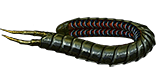 Ryslatha's Coil Studded Belt | [PC] Allflame Standard