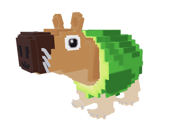 Pipi Avocado | Global