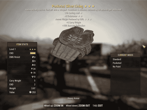 Pocketed Silver Lining | PS